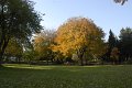 _DSC11762