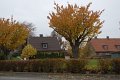 _DSC11885