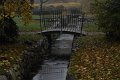 _DSC11899