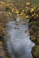 _DSC11908