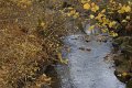 _DSC11909