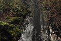 _DSC11922