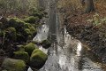 _DSC11924