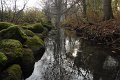 _DSC11932
