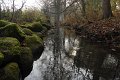 _DSC11933