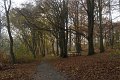 _DSC11934