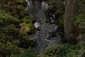 _DSC11938